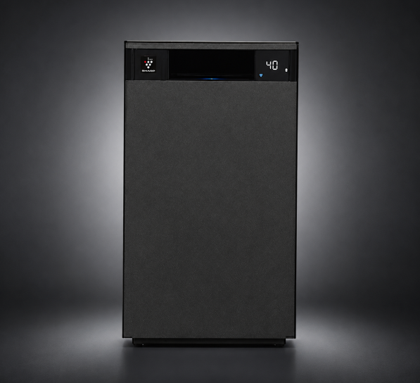 SAP11 597x544